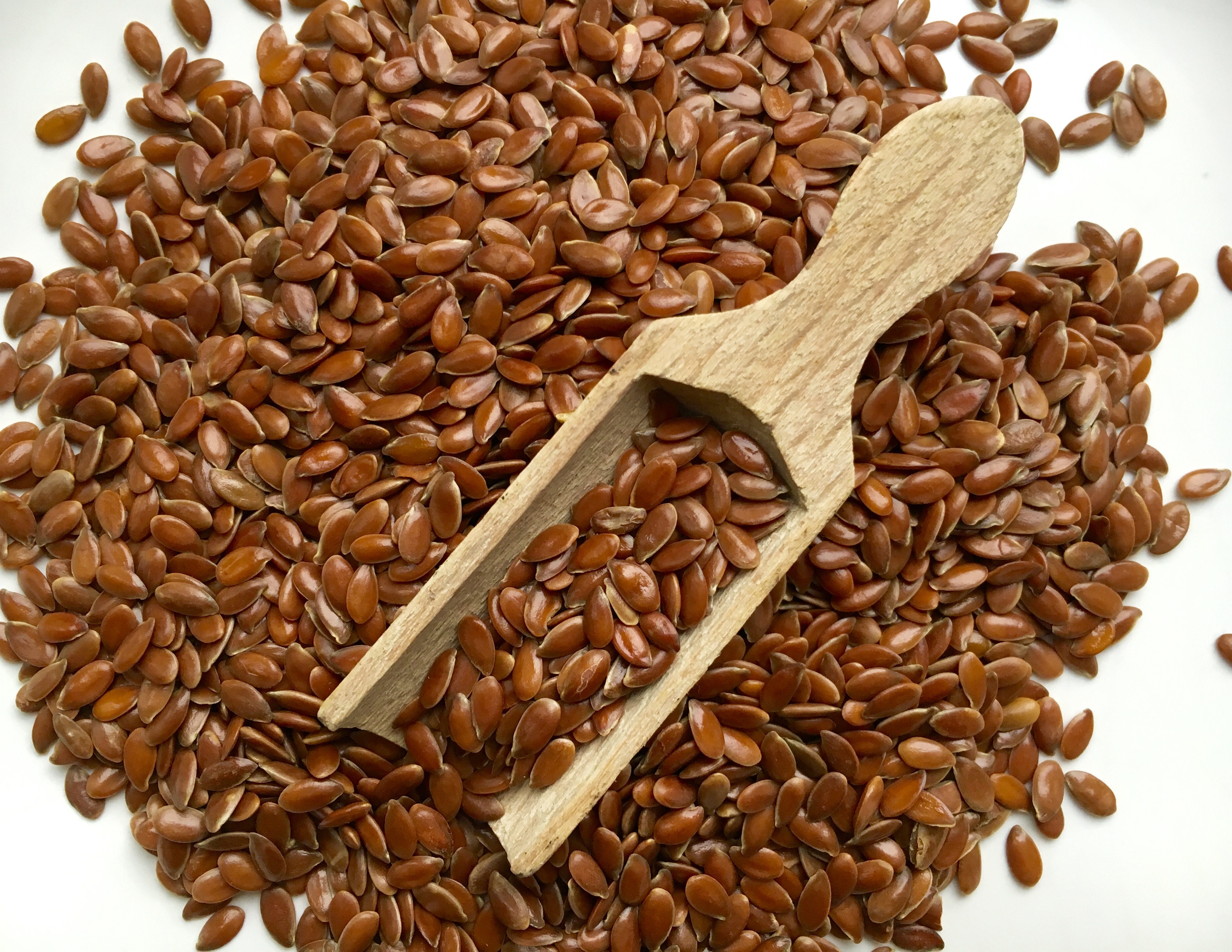 superfood-5-gezonde-zaden-uit-eigen-tuin-de-meisjes-van-de-moestuin