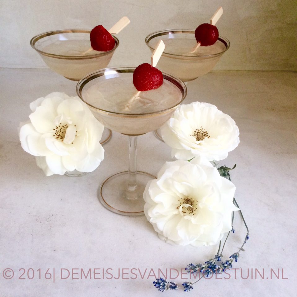 elderflower cider