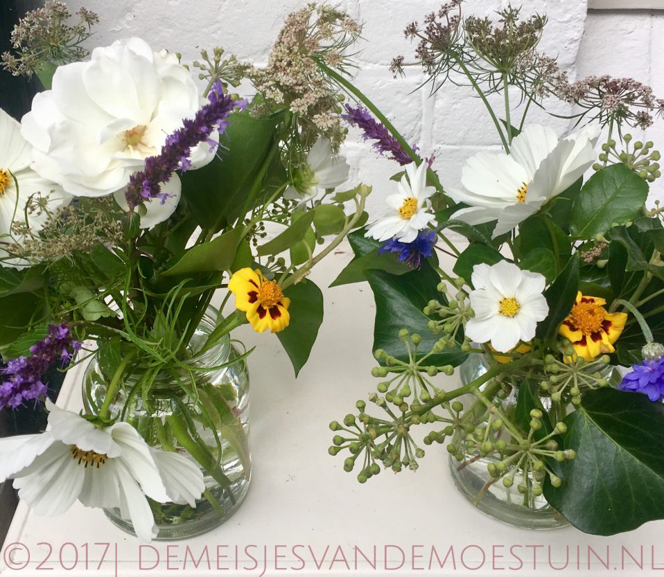 bloemen in de moestuin