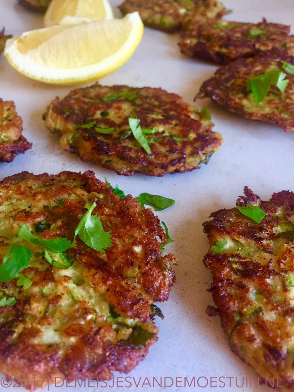courgettekoekjes met tonijn
