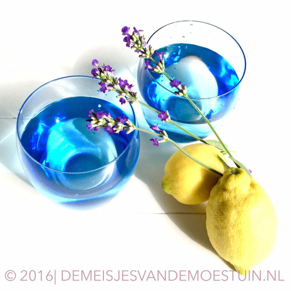 lavendel in de tuin en in de keuken