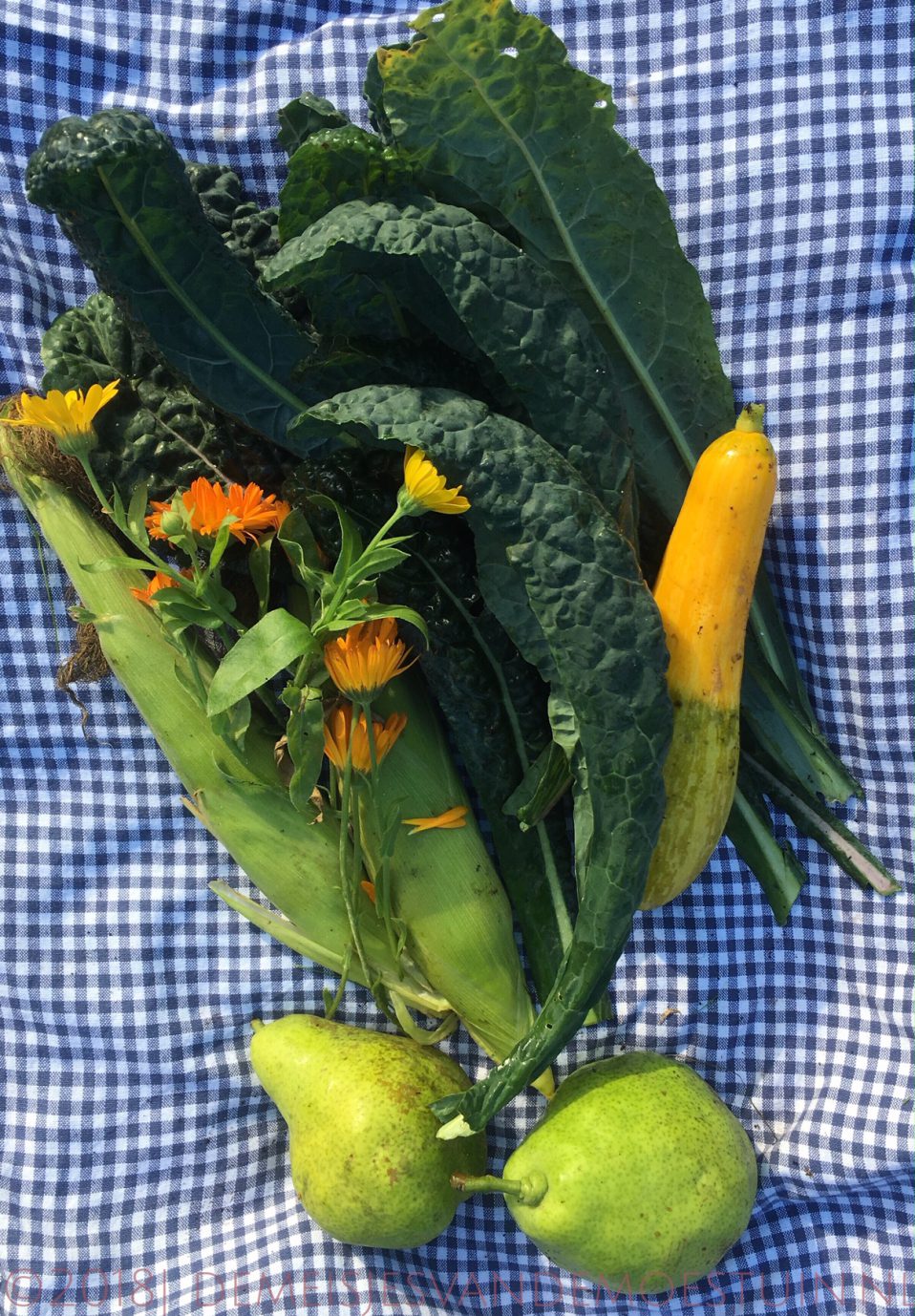 de moestuin in oktober