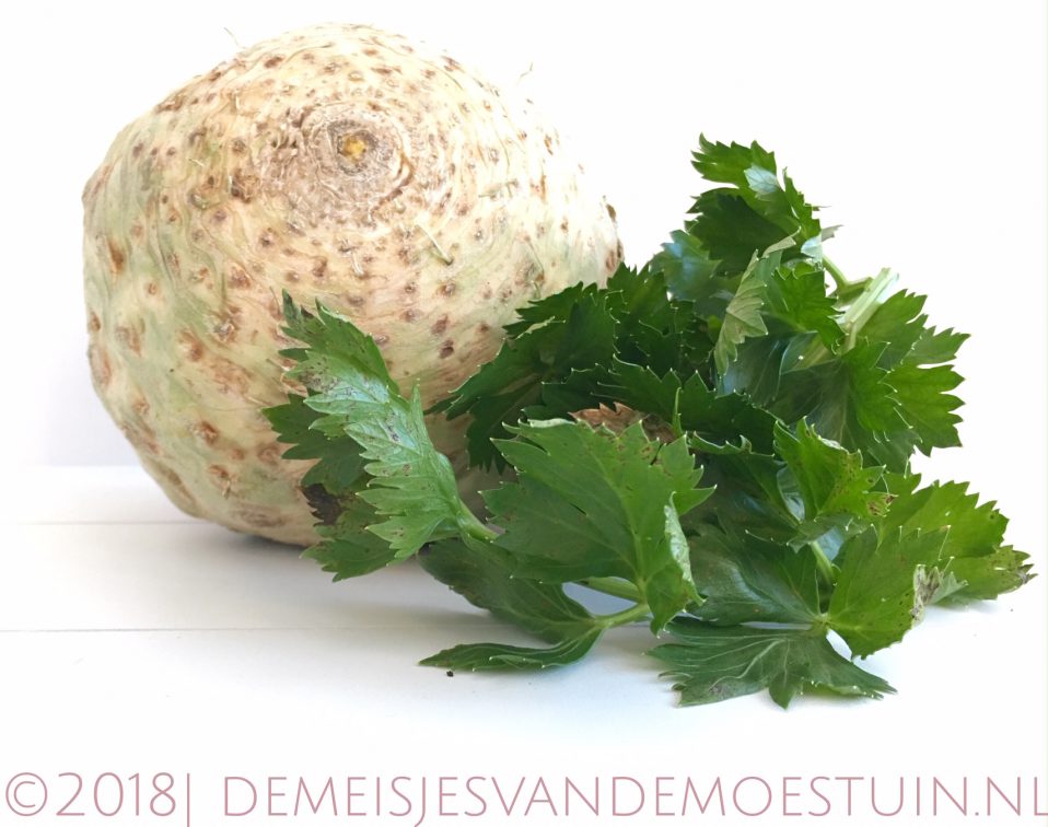 knolselderij uit de supermarkt