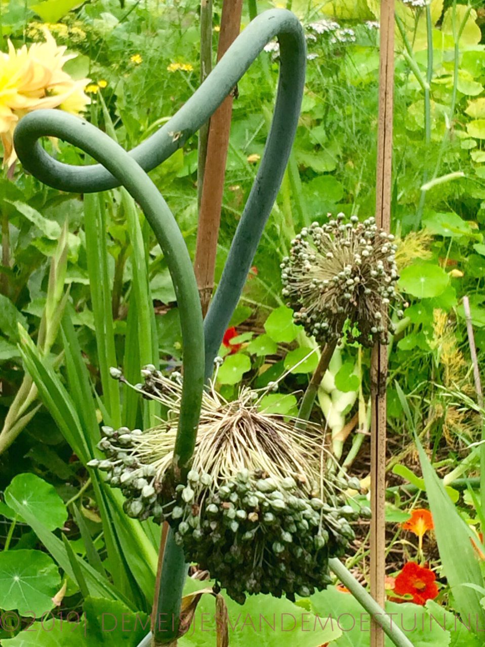moestuin lijst