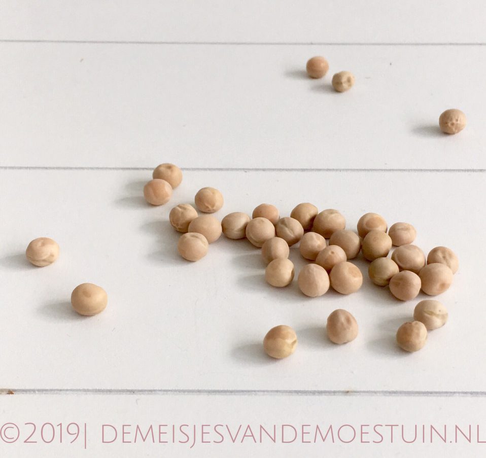 Peultjes zaaien