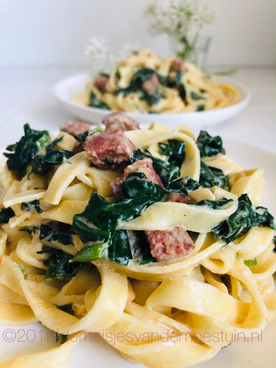 pasta met snijbiet, daslook en chorizo